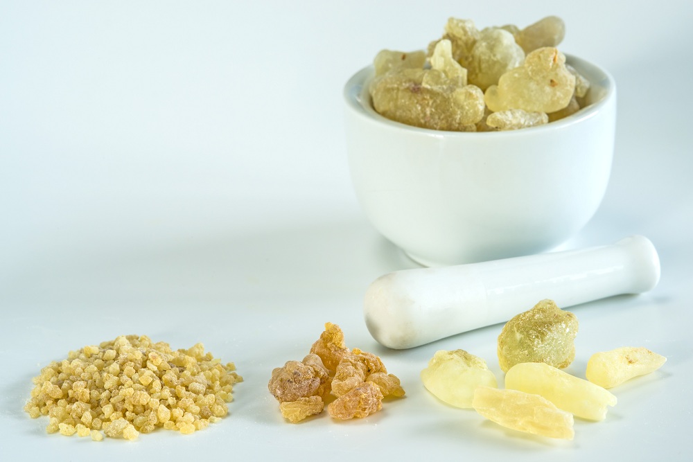 Shallaki Boswellia serrata