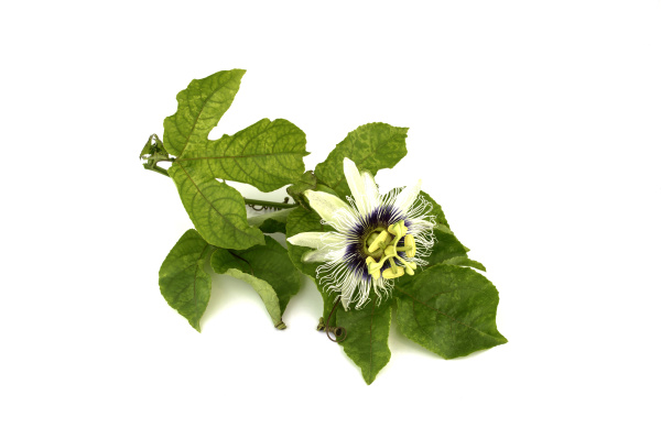 with sedative effect